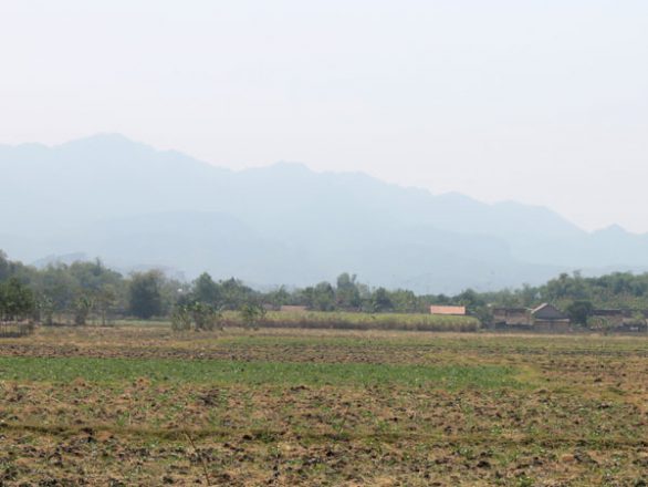 Proyek Pembebasan Lahan - Lokasi Proyek Pabrik Gula Rembang - PT. Gula Mas Nusantara