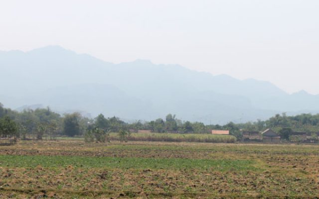 Proyek Pembebasan Lahan - Lokasi Proyek Pabrik Gula Rembang - PT. Gula Mas Nusantara