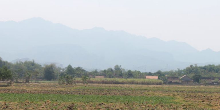 Proyek Pembebasan Lahan - Lokasi Proyek Pabrik Gula Rembang - PT. Gula Mas Nusantara