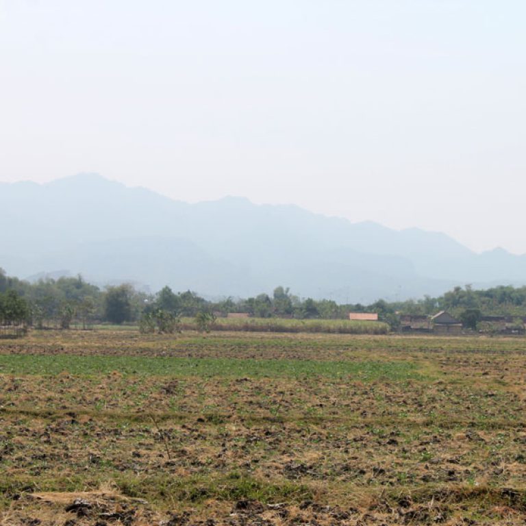 Proyek Pembebasan Lahan - Lokasi Proyek Pabrik Gula Rembang - PT. Gula Mas Nusantara